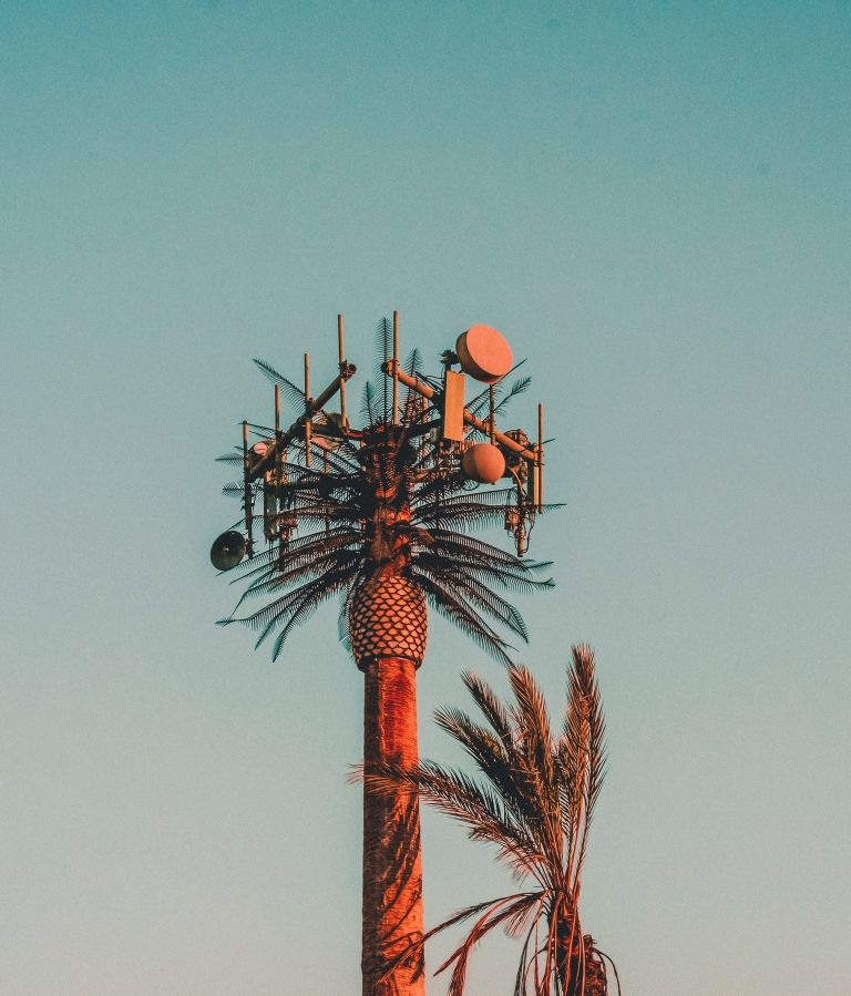 ralph-ravi-kayden-mALJ-AAR13c-unsplash-768x899.jpg